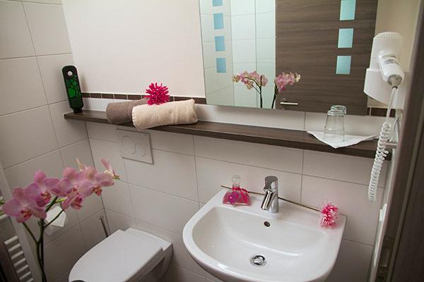 Lohauserhof - Biohof Und Hotel Rohrmoos Room photo